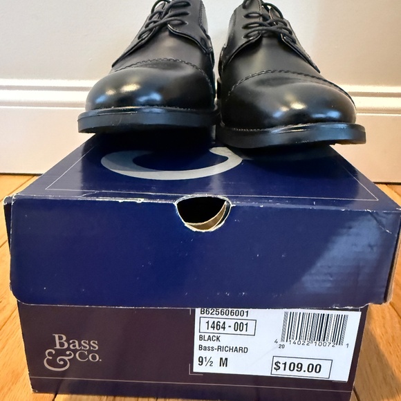 Stylish Richard, 9.5 Medium, Water Resistant